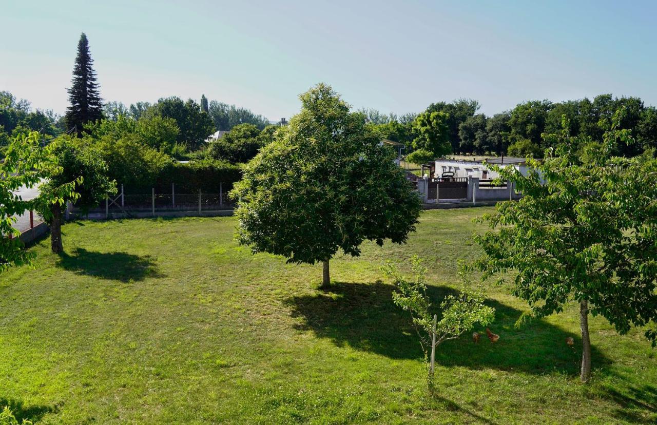 Casa Diego Villa *